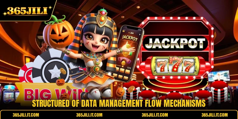 Structured of data management flow mechanisms